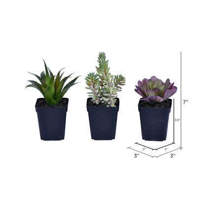 Vickerman 7" Artificial Succulent Black Plastic Planters Pot Set of 3