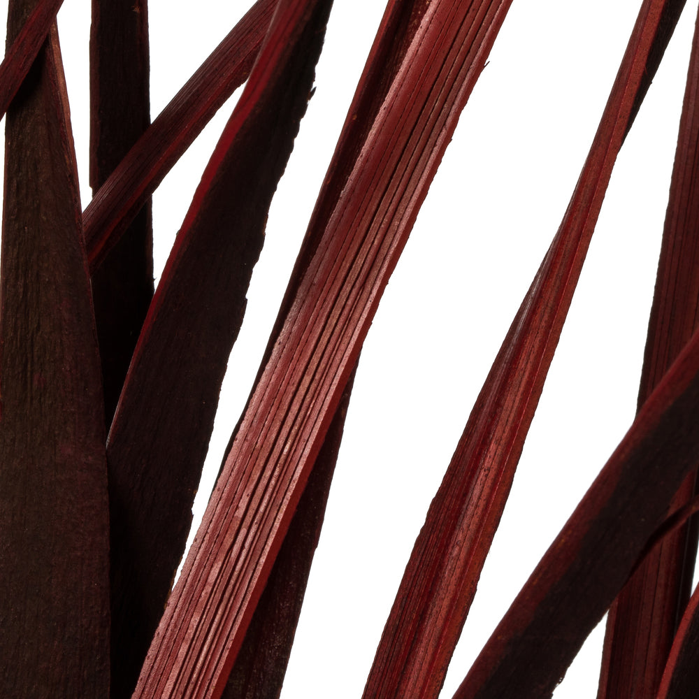 Vickerman 28" Red Splinter Grass 11 oz Bundle Dried