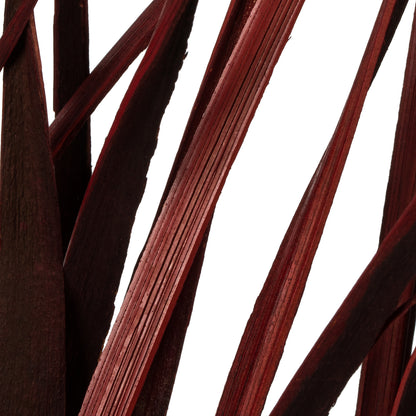 Vickerman 28" Red Splinter Grass 11 oz Bundle Dried