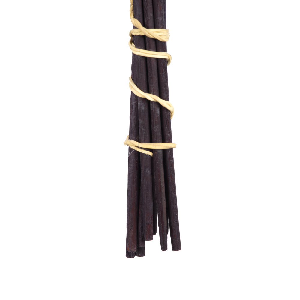 Vickerman 18-22" Natural Estrella 10 stems Dried