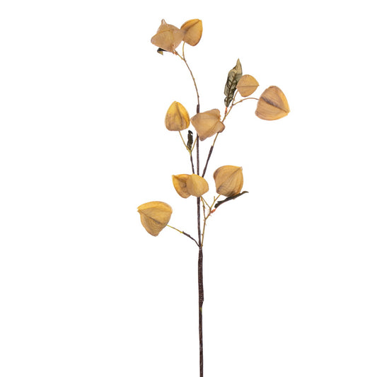Vickerman 30.5" Yellow Artificial Dried Lantern Spray 2 per bag.
