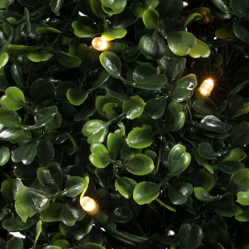 Vickerman 4' Potted Artificial Boxwood Cone with Warm White LED Lghts.