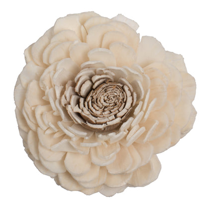 Vickerman Natural Botanicals 1.6"/2.4"/3.2" Assorted Charki Skin Sola Head 24 flowers/polybag.
