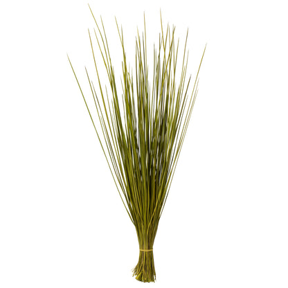 Vickerman 24-30" Basil Whip Grass 8 oz Bundle Dried
