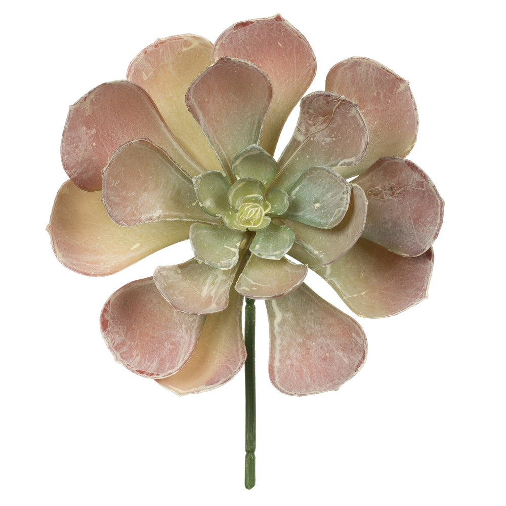 Vickerman 8.5" Artificial Assorted Echeveria Stems 6 per Bag