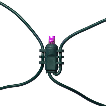 Vickerman 120 Purple Wide Angle Twinkle LED Christmas Net Light Set Green Wire
