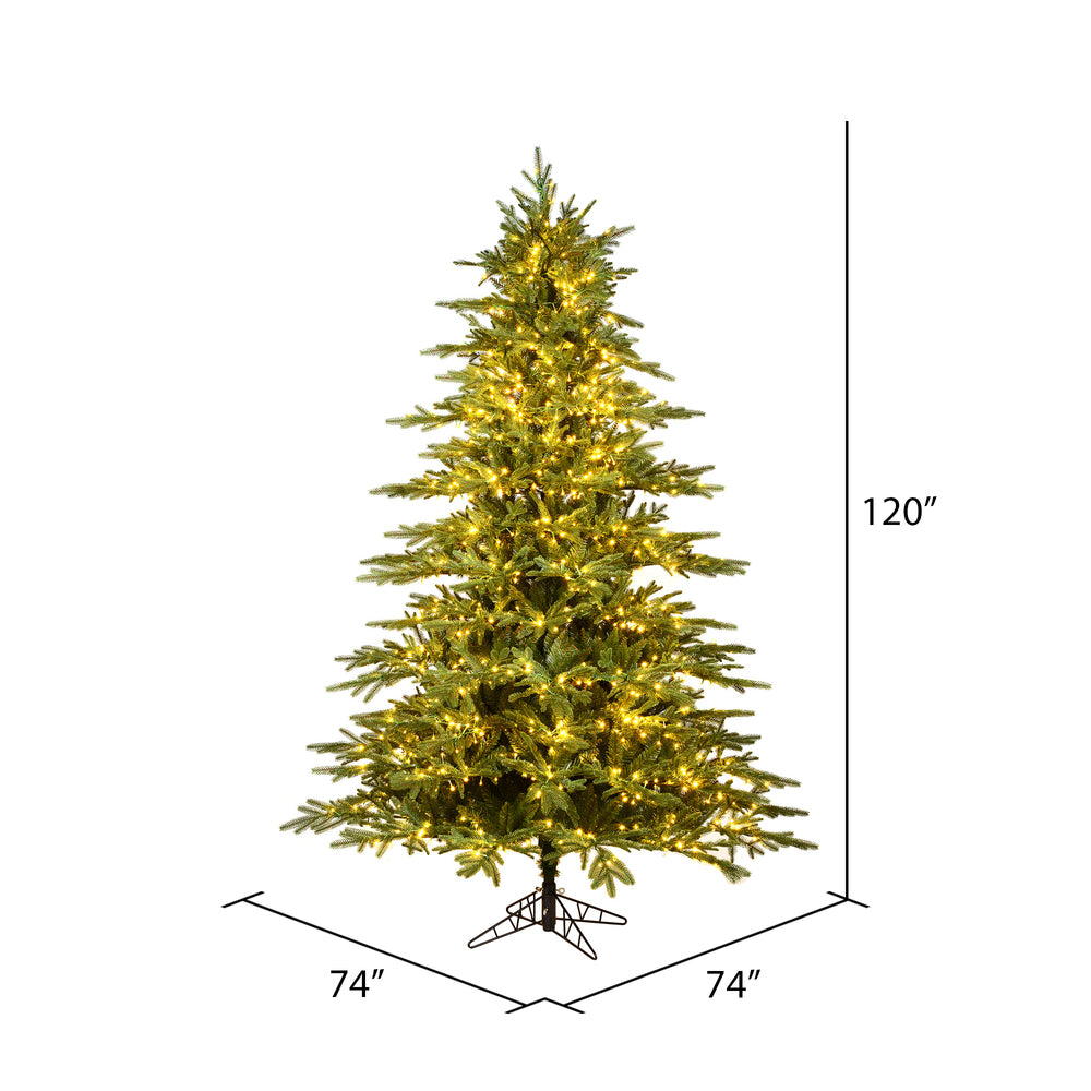 Vickerman 10' x 74" Kamas Fraser Fir Tree 2700 Warm White Low Voltage 3MM LED Lights.