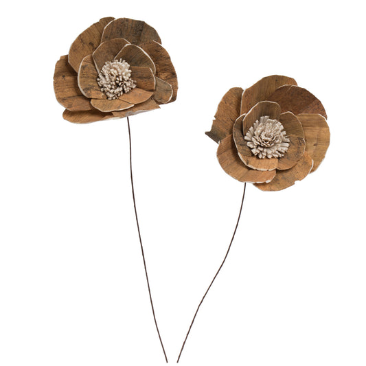 Vickerman Natural Botanicals 4" Walnut Sola Flower on 12" Stem - 12 stems/bag. Dried and preserved.
