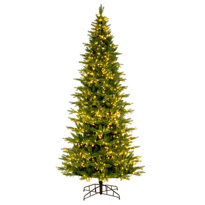 Vickerman 10' x 56" Balsam Spruce Slim Artificial Christmas Tree 3mm LED Color Changing Lights