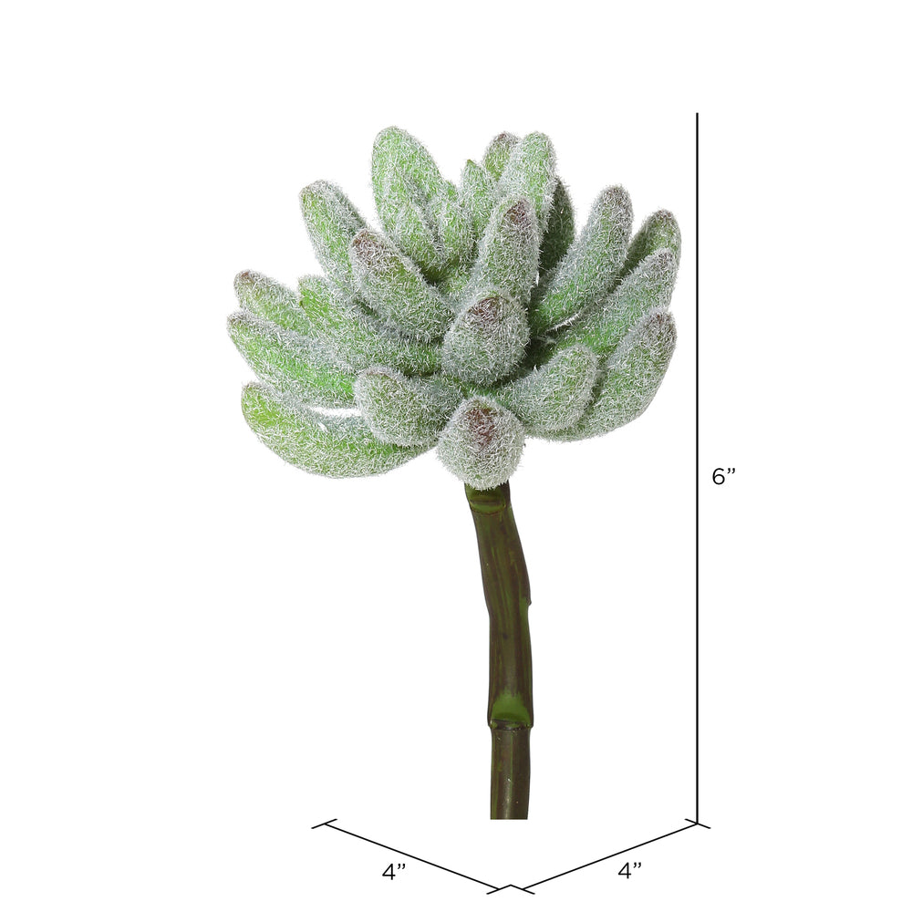 Vickerman 6" Artificial Frosted Crassula Pick Set of 3