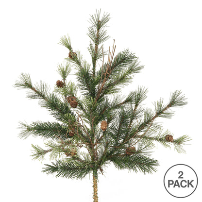 Vickerman 24" Mixed Country Pine Artificial Christmas Spray. Includes 2 sprays per pack.