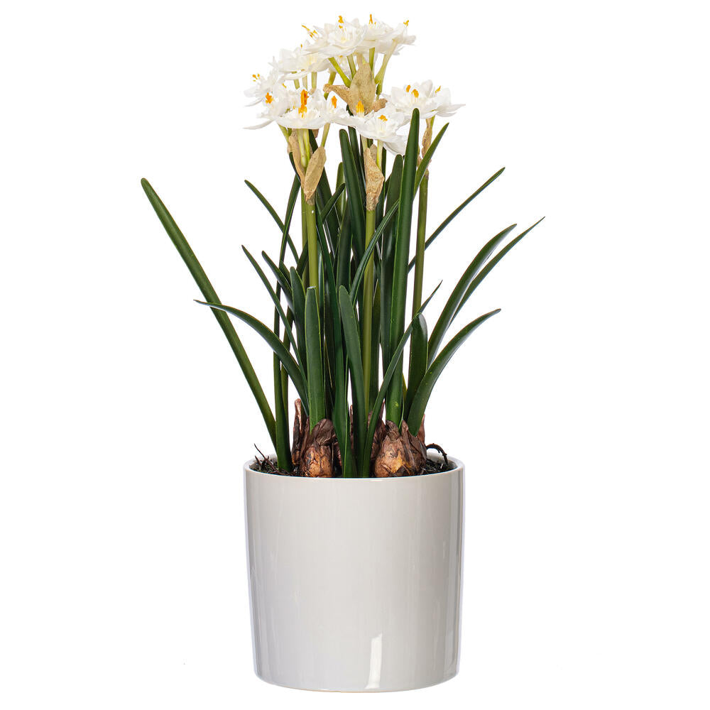 Vickerman 16.5" Artificial White Daffodil in Ceramic Pot.