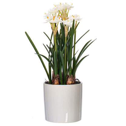 Vickerman 16.5" Artificial White Daffodil in Ceramic Pot.