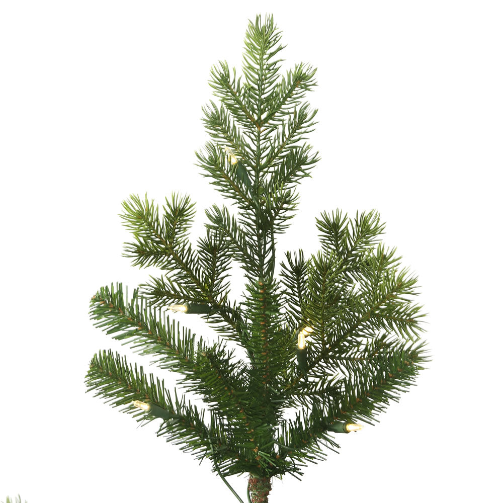 Vickerman 10' x 73" Eagle Fraser Full Artificial Christmas Tree Warm White Dura-lit LED Lights