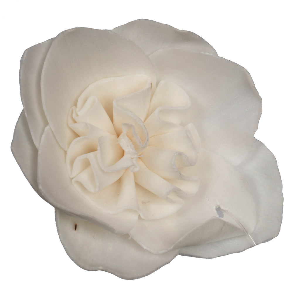 Vickerman Natural Botanicals 1.6"/2.4"/3.2" Assorted Natural Dried Gardenia Sola Flower Head 24/bag.