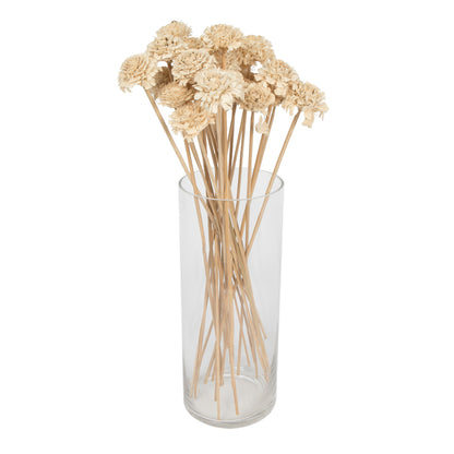 Vickerman Natural Botanicals 1.3"-1.75" Cedar Rose Bleached on Stem. Includes 50 pieces per polybag.