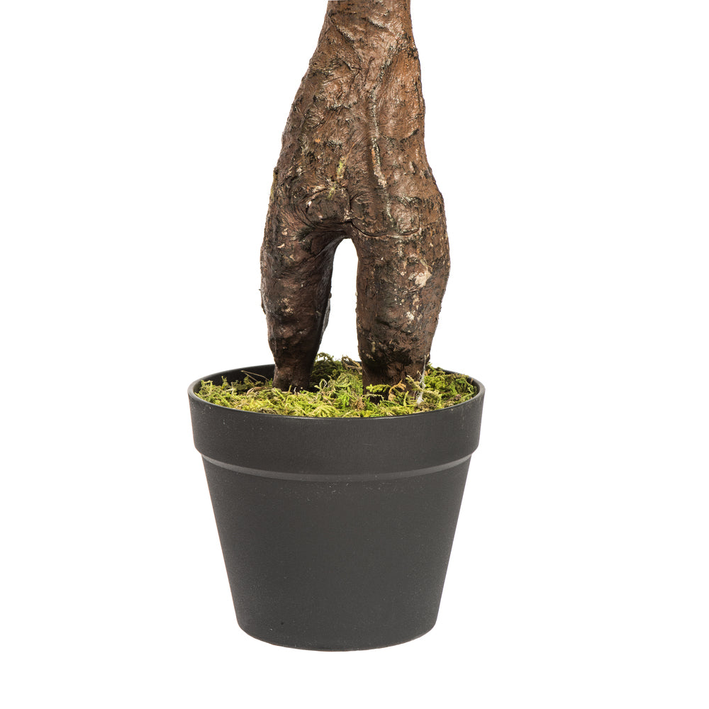 Vickerman 50" Artificial Potted Camellia Tree.