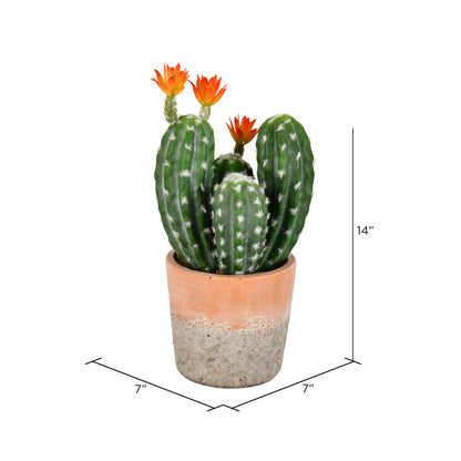 Vickerman 14" Artificial Green Cactus in Clay Pot.