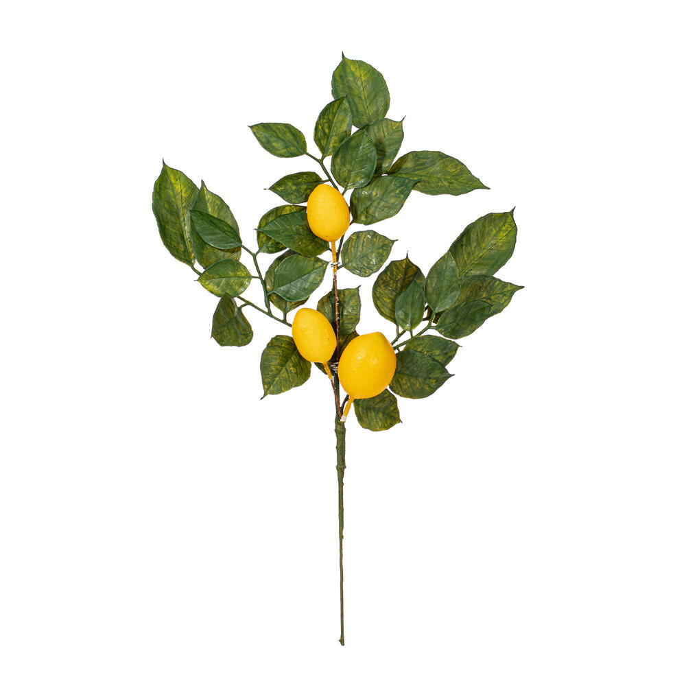 Vickerman 20" Artificial Green and Yellow Salal Leaf Lemon Sprays. Pack of 4.