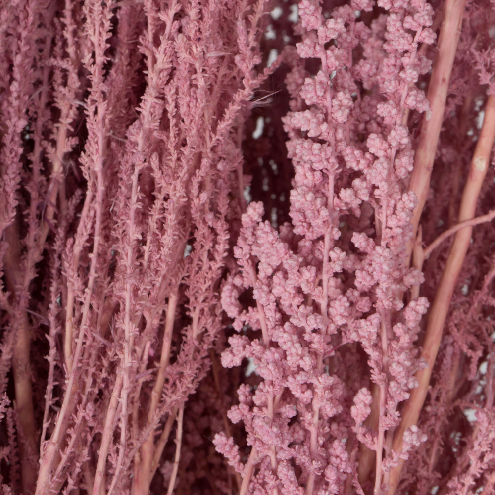 Vickerman 14-18" Coral Stoebe Bundle.  Comes 3.5 oz per bundle.