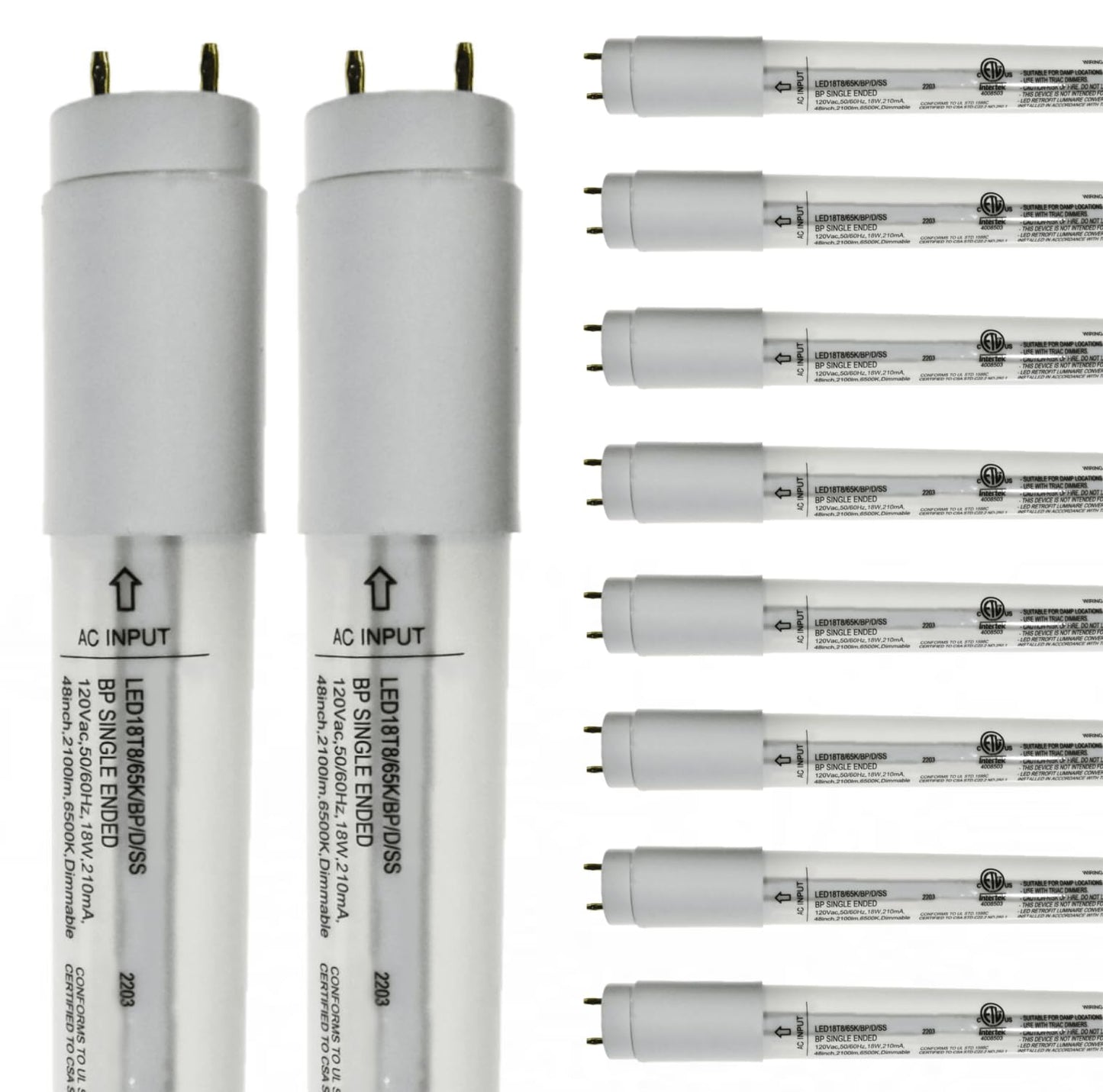 Damar- 4Ft T8 LED Tube Light Bulb Type B Single Ended Ballast Bypass Safety Shielded 18W 2100 Lumens 6500K Daylight Dimmable G13 Bi-Pin Base 120V ETL Listed Pack of 10- Fluorescent Replacement