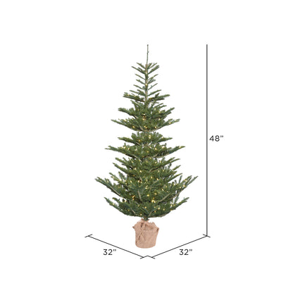 Vickerman 4' Alberta Spruce Artificial Christmas Tree Warm White Dura-lit LED Lights