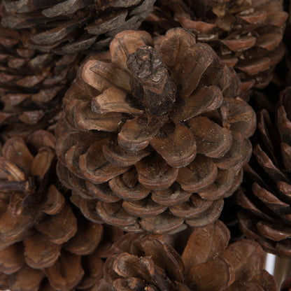 Vickerman Natural Botanicals 2" Blue Pine Natural on Stem. Includes 50 Pieces per Unit