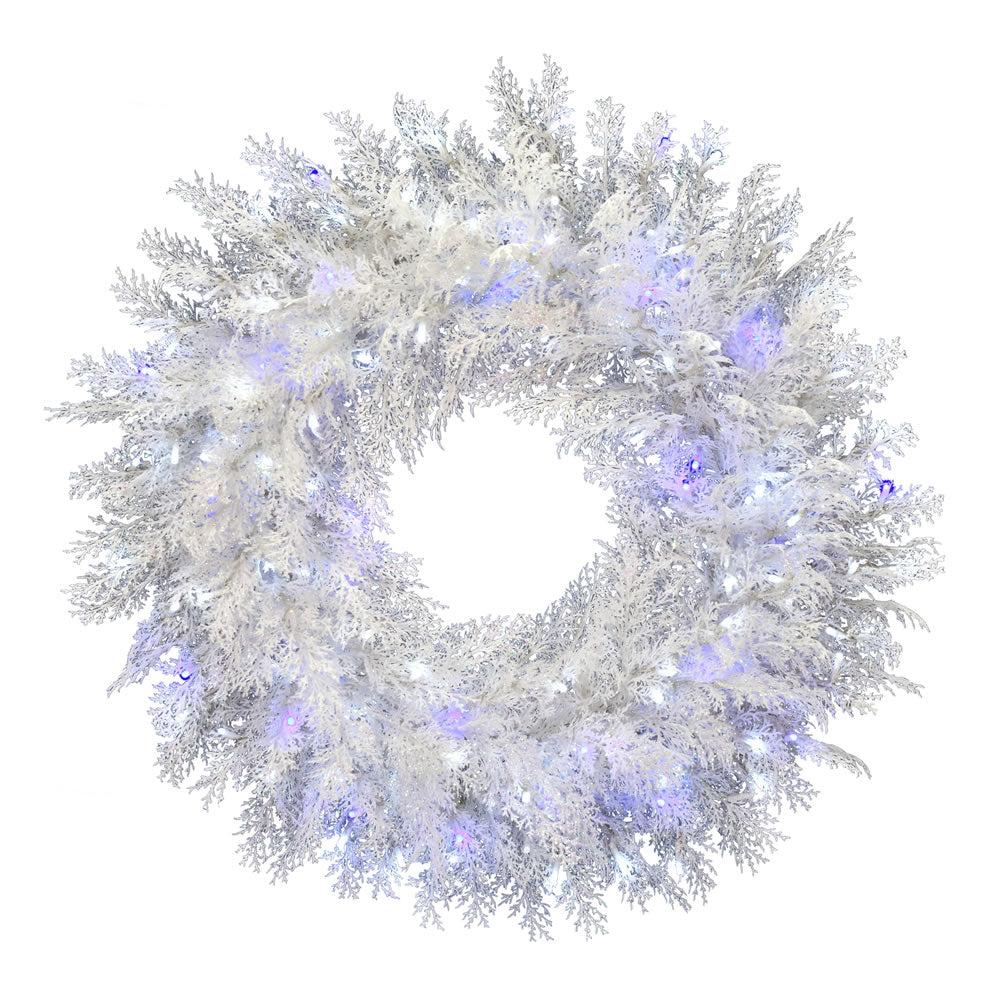 Vickerman 36" Flocked Cedar Pine Artificial Christmas Wreath Pure White and Blue Low Voltage LED Wide Angle Lights.