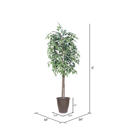 Vickerman 6' Artificial Variegated Ficus Tree Brown Round Plastic Container.
