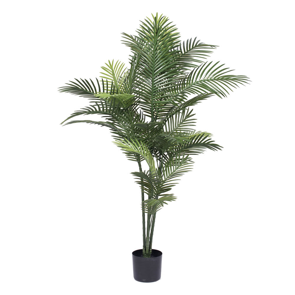 Vickerman 60" Artificial Robellini Palm Tree.