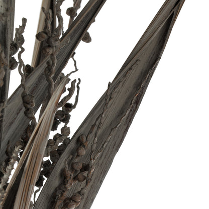 Vickerman 36" Gray Wash Bahia Spears with Seeds 2 pack Dried