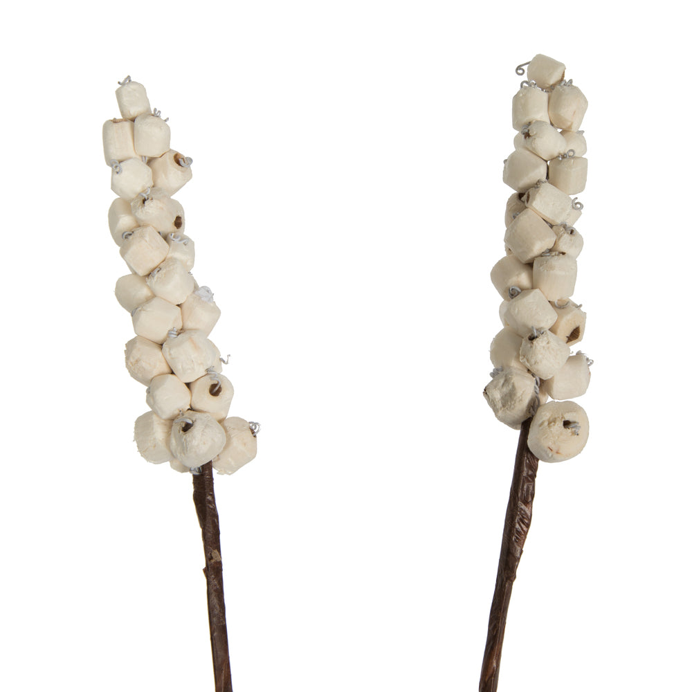 Vickerman Natural Botanicals 24" Natural Dried Sola Berries Stick- 24/bag. Dried and preserved.