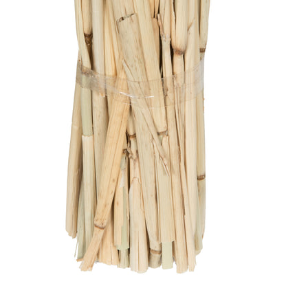Vickerman Natural Botanicals 24" Babala Natural. Includes 75 pieces per unit.