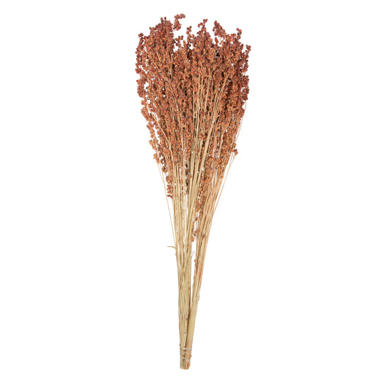 Vickerman Natural Botanicals 21-23" Natural Brown Dried Broom Corn 6 oz. Bunch