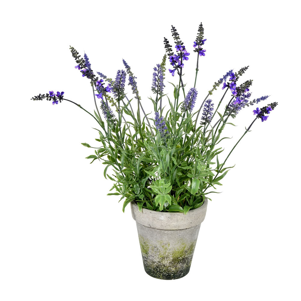 Vickerman 20" Artificial Lavender in Cement Pot.