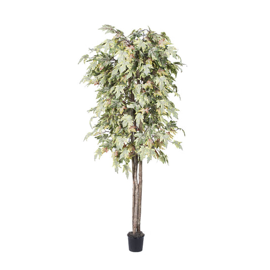 Vickerman 6' Artificial Frosted Maple Deluxe Black Plastic Pot