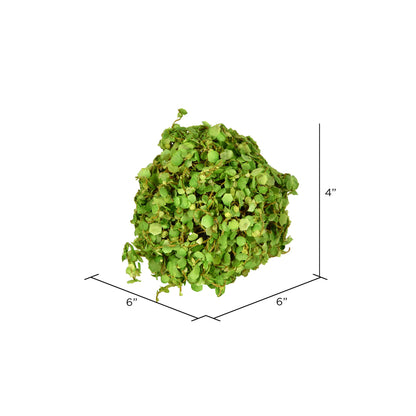 Vickerman 4'' Artificial Green Mini Leaves Ball Set of 4
