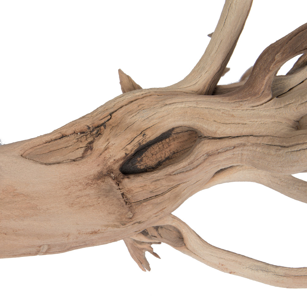 Vickerman 12" Starwood Manzanita Tree Branch