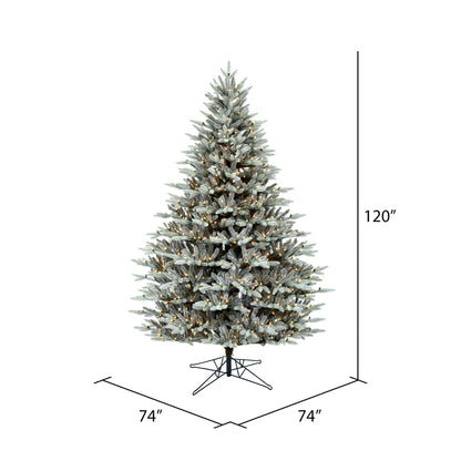 Vickerman 10' x 74" Douglas Blue Fir Artificial Christmas Tree Clear Dura-lit Lights