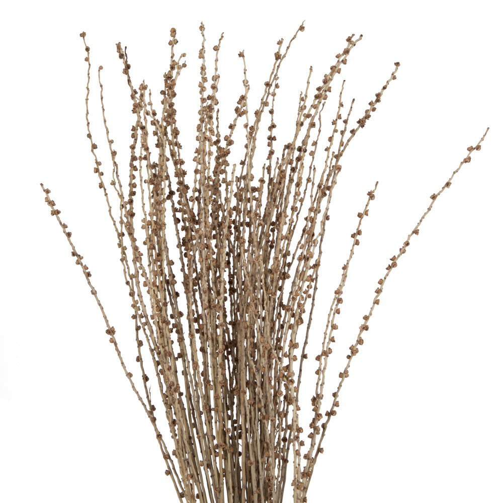 Vickerman 36-38" Natural Deglet Nour Branch Bundle