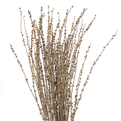 Vickerman 36-38" Natural Deglet Nour Branch Bundle