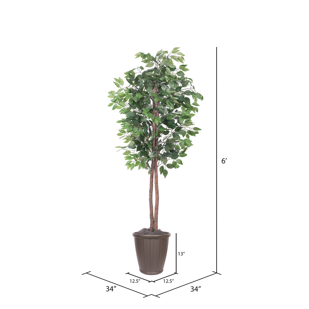 Vickerman 6' Artificial Ficus Tree Brown Round Plastic Container.