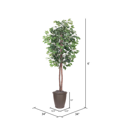 Vickerman 6' Artificial Ficus Tree Brown Round Plastic Container.