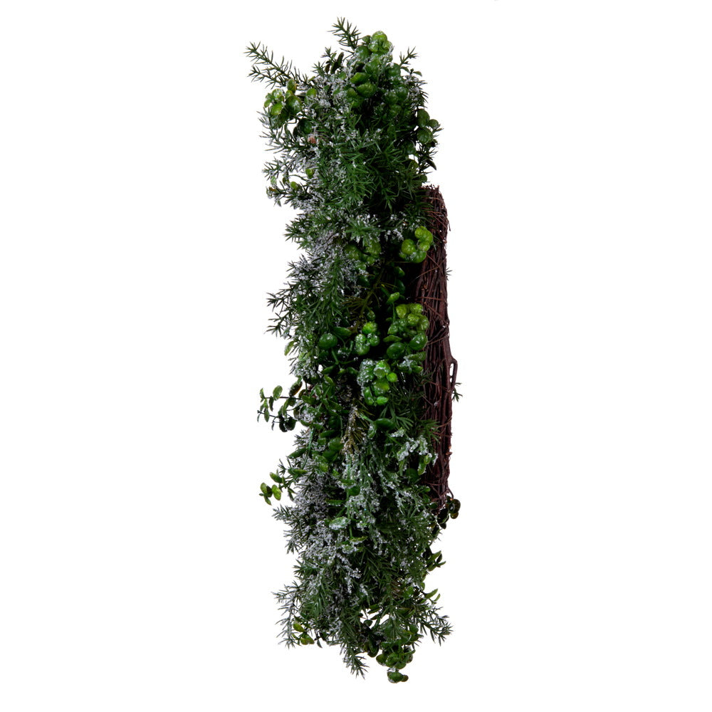 Vickerman 26" Artificial Green Snow Cedar and Eucalyptus Christmas Wreath Unlit