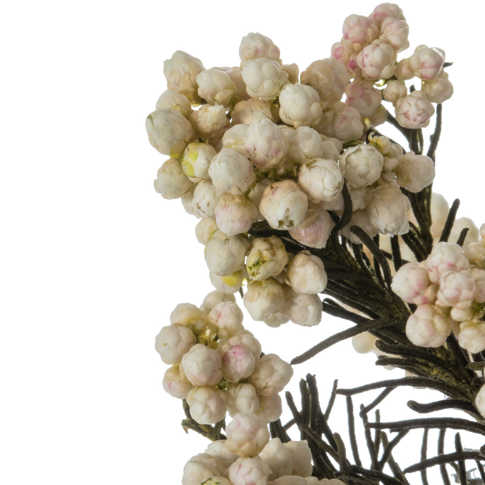 Vickerman 16" Natural White Rice Flower. Comes in a 4.25 oz Bundle. Preserved