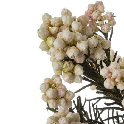 Vickerman 16" Natural White Rice Flower. Comes in a 4.25 oz Bundle. Preserved
