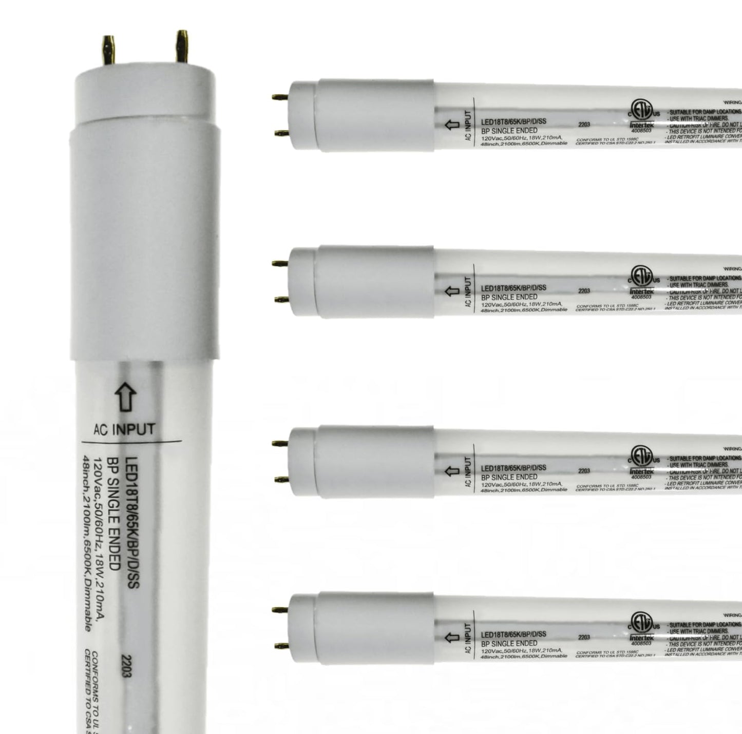 Damar- 4Ft T8 LED Tube Light Bulb Type B Single Ended Ballast Bypass Safety Shielded 18W 2100 Lumens 6500K Daylight Dimmable G13 Bi-Pin Base 120V ETL Listed Pack of 5- Fluorescent Replacement