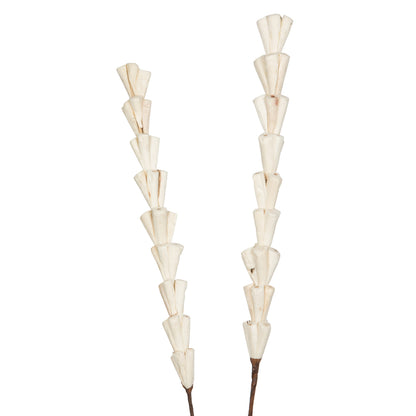 Vickerman Natural Botanicals 24" Natural Dried Sola Rajani Stick- 24 sticks/polybag. Preserved.