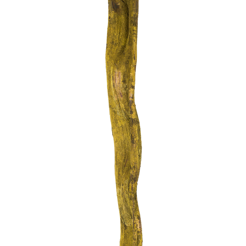 Vickerman 72-84" Basil Cipo XL (must ship on pallet) 1 piece Dried