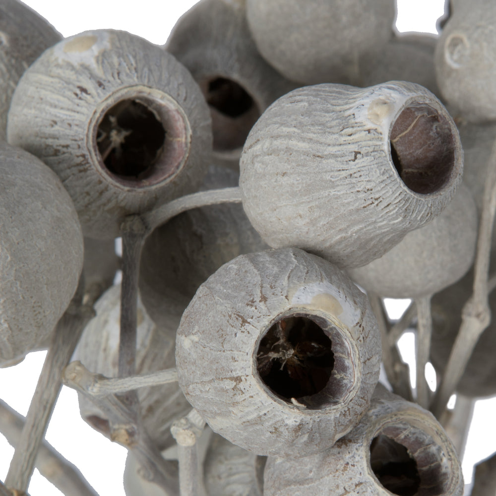 Vickerman Natural Botanicals 11" x 4" Bellgum Branch 5-7 Bells Ivory Frosted 10 stems per unit